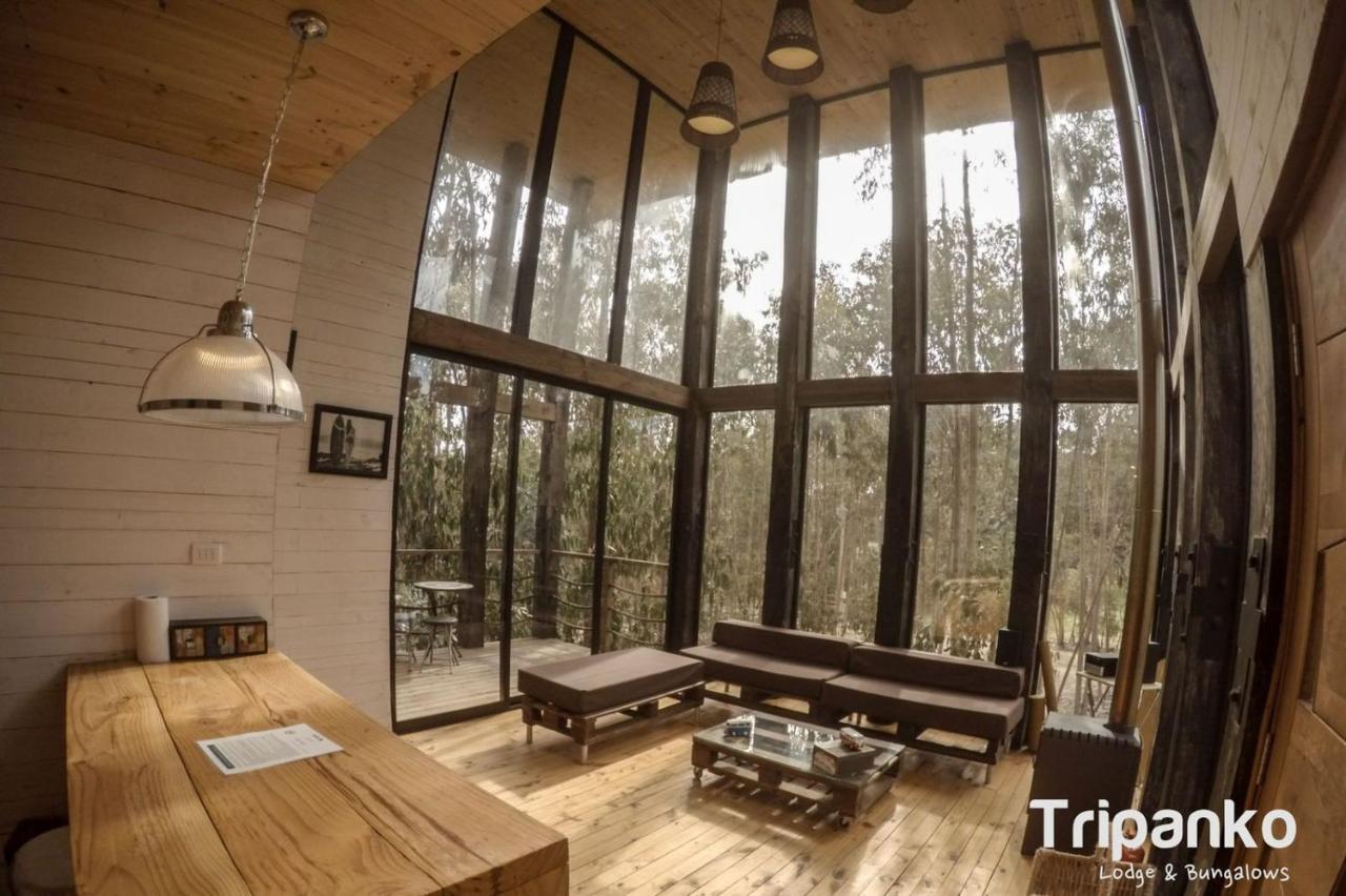 Tripanko Lodge & Bungalows Pichilemu Exterior foto