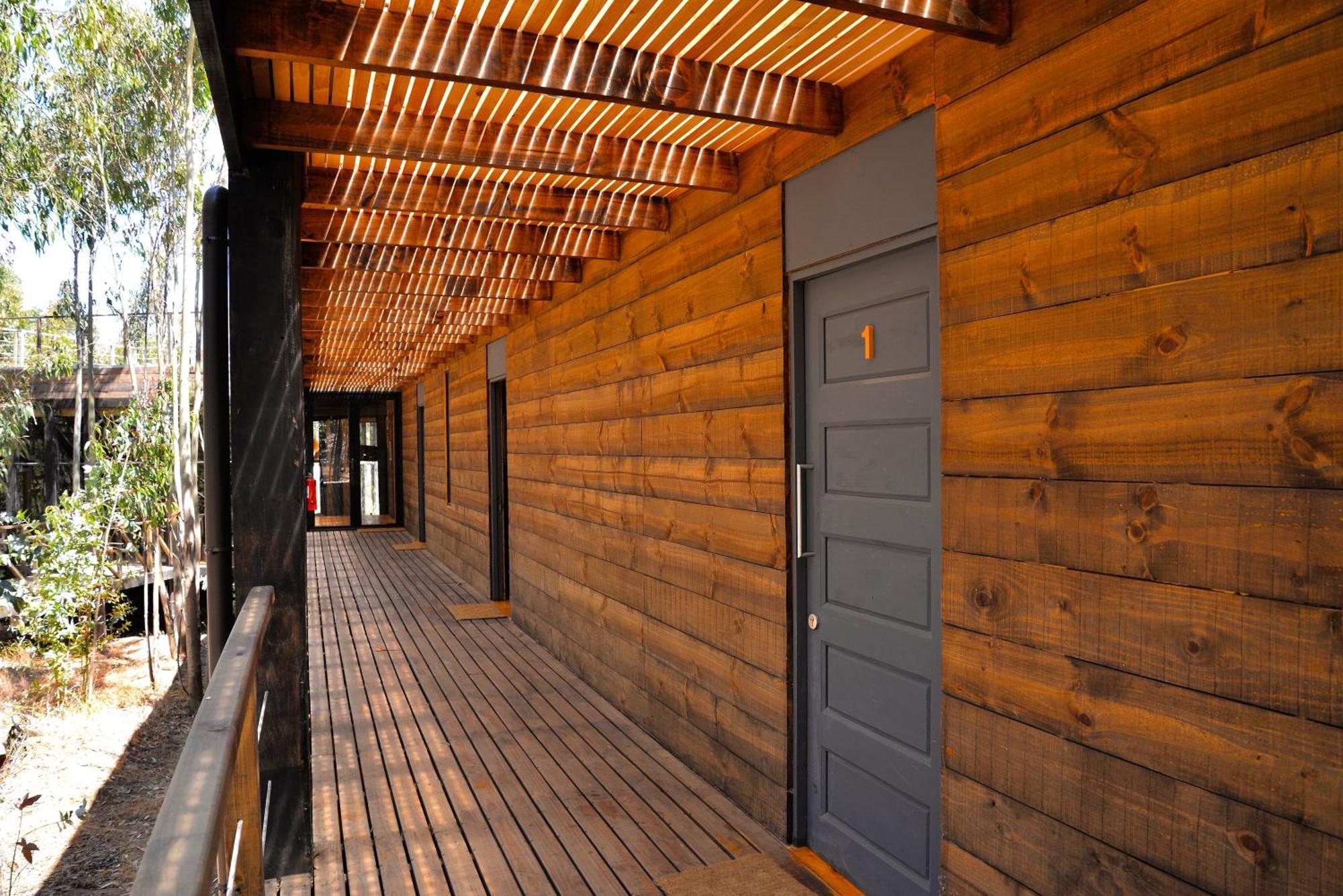 Tripanko Lodge & Bungalows Pichilemu Cameră foto