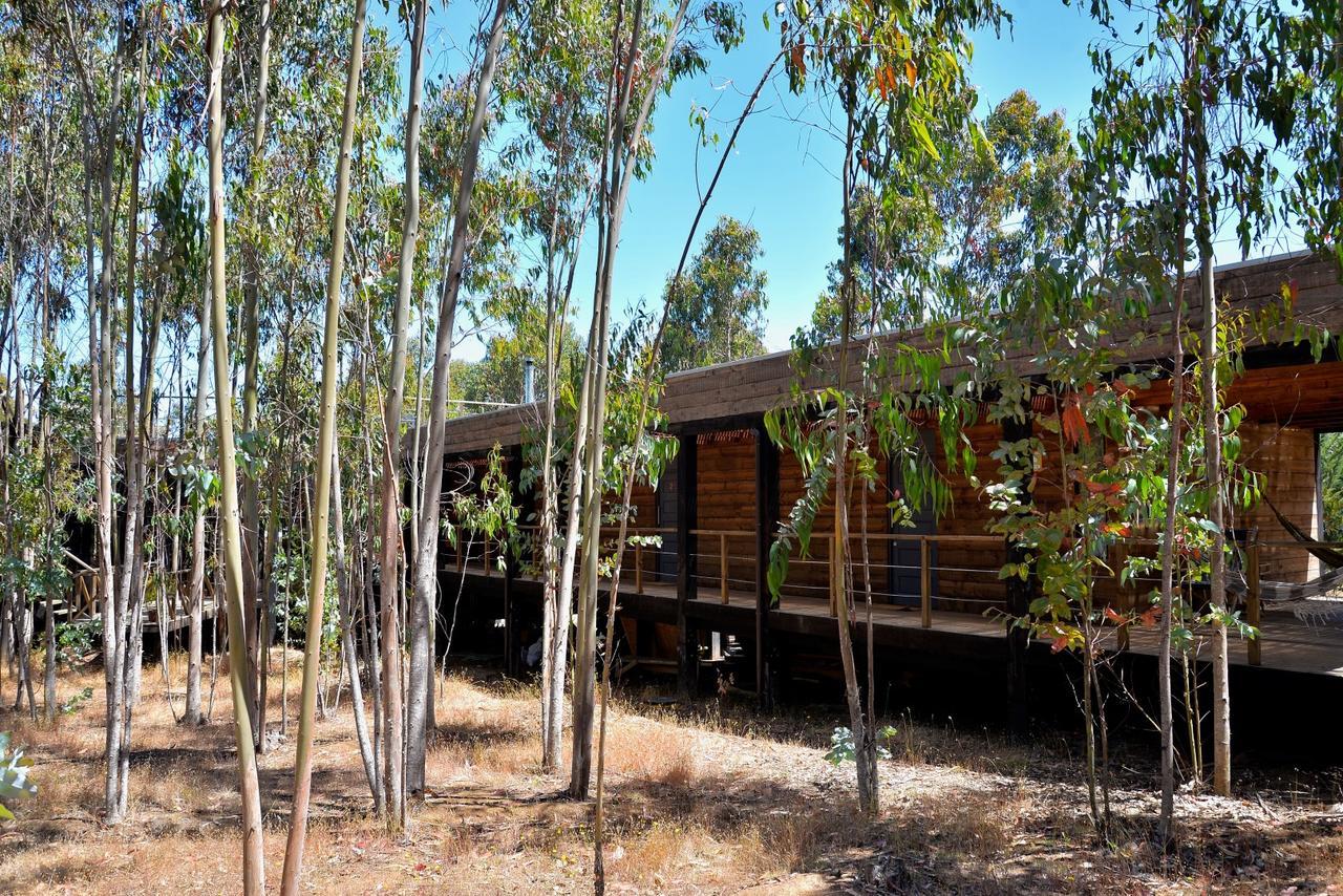 Tripanko Lodge & Bungalows Pichilemu Exterior foto