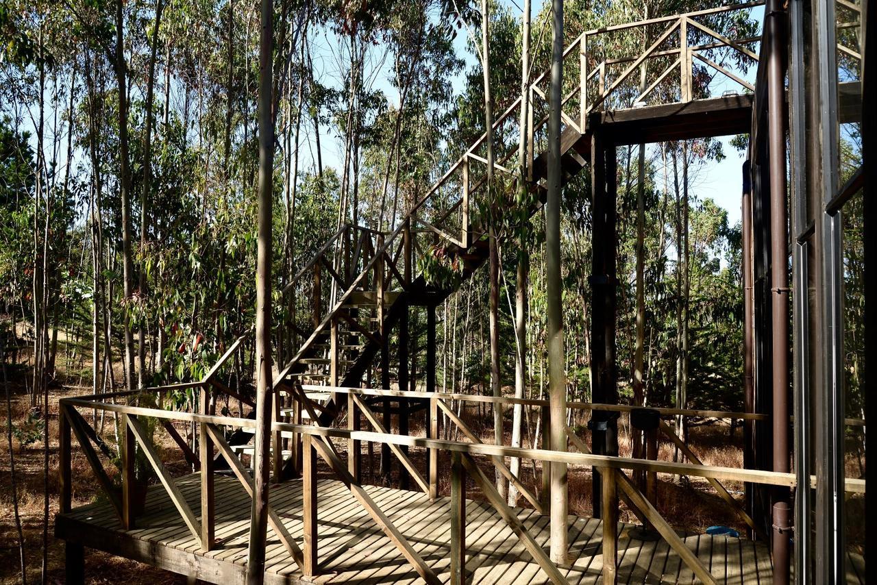 Tripanko Lodge & Bungalows Pichilemu Exterior foto
