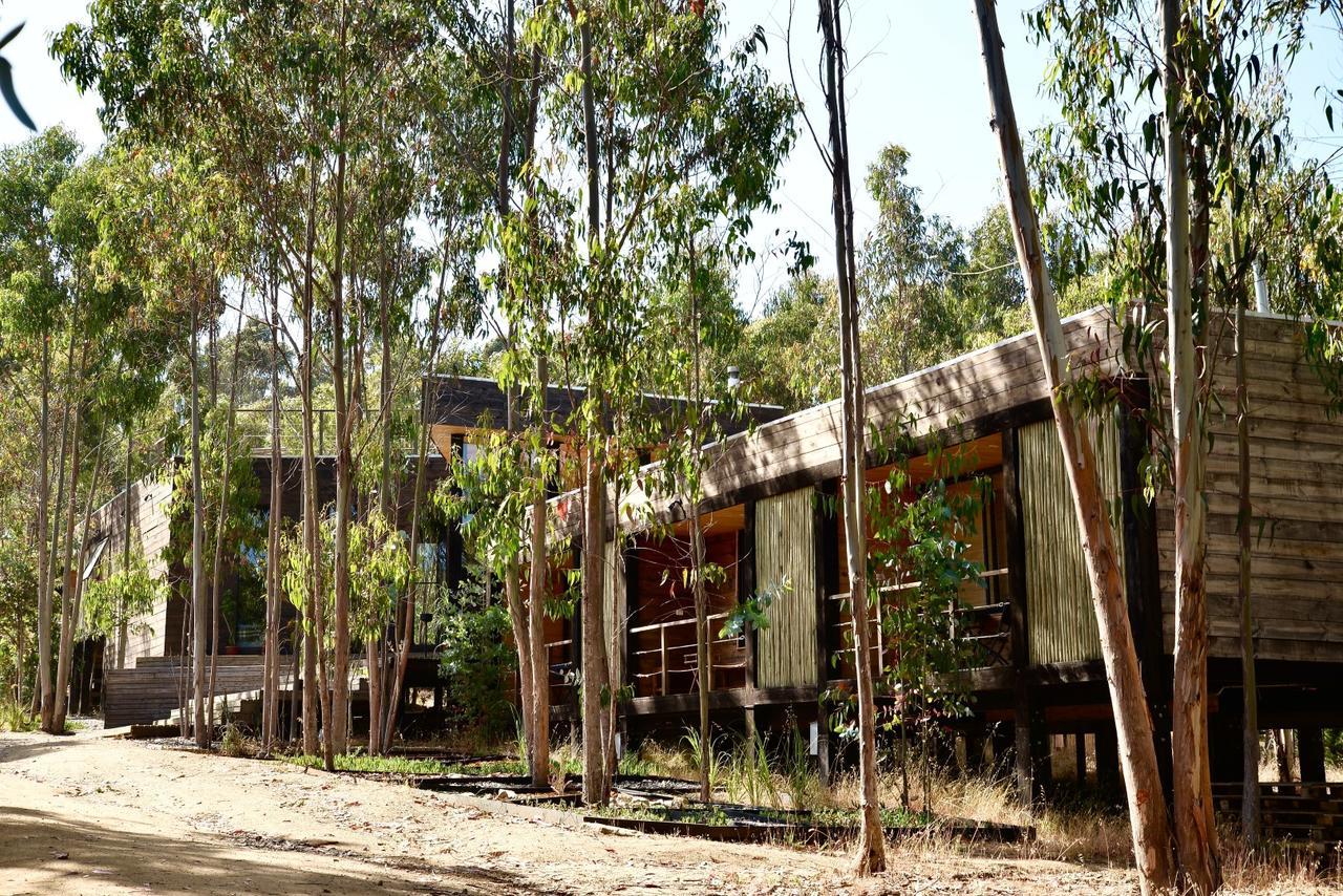 Tripanko Lodge & Bungalows Pichilemu Exterior foto