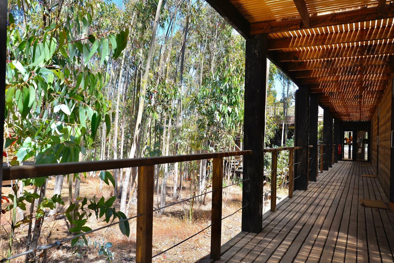 Tripanko Lodge & Bungalows Pichilemu Exterior foto
