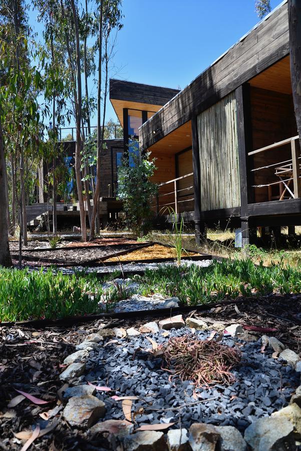 Tripanko Lodge & Bungalows Pichilemu Exterior foto